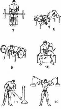 Фитнес и бодибилдинг: Кто сколько поднимает  на бицепс стоя