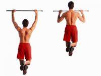 Фитнес и бодибилдинг: Упражнения для мышц спины