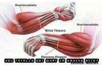 Фитнес и бодибилдинг: Мышцы предплечия