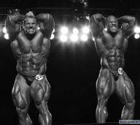 Фитнес и бодибилдинг: Mr Olympia 2010