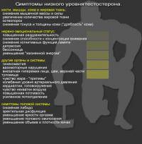 Фитнес и бодибилдинг: Как и каким природным способом поднять в организме уровень тестостерона