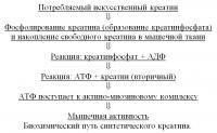 Фитнес и бодибилдинг: Можно ли принимать одновременно протеин и креатин   как  когда  в каких дозах