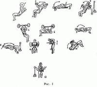 Фитнес и бодибилдинг: Тренировка на мышцы груди