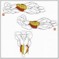 Фитнес и бодибилдинг: косые мыщцы живота и ваше пресс
