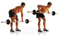 Фитнес и бодибилдинг: Подскажите пожалуйста упражнения на широчайшие мышцы спины   а то по картинкам не очень понятно