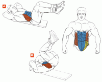 Фитнес и бодибилдинг: Как вы качаете низ пресса