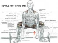 Фитнес и бодибилдинг: тяга в классике и в сумо  результаты
