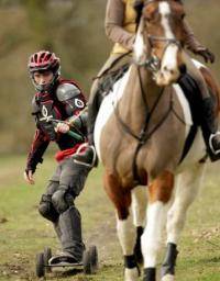 Экстремальные виды спорта: Мифы о конном спорте  Всем новичкам будет интересно