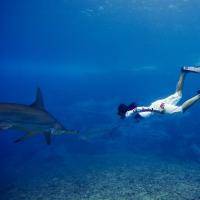 Экстремальные виды спорта: Где самый красивый подводный мир на ваш взгляд для Дайвинга