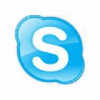 Автоспорт: SKYPE чат